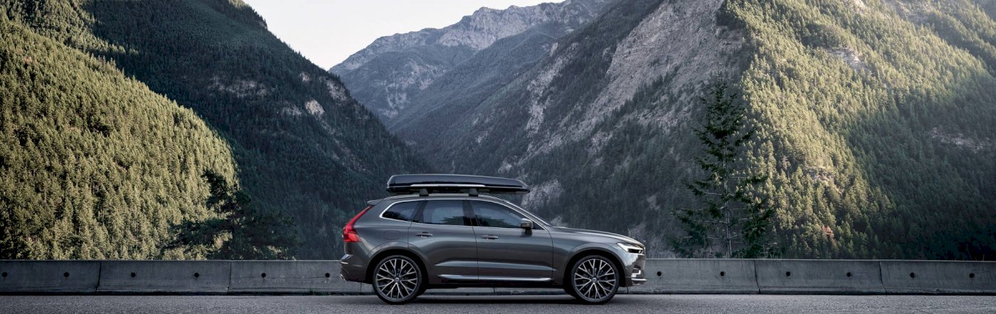 Volvo_XC60_Inscription_Pine_Grey_Seitenschuss_Natur_Dachbox_TIM00183_processed.jpg